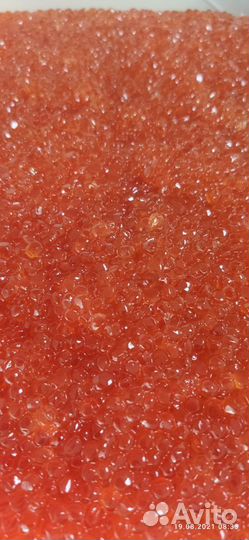 Икра красная форель, горбуша, кета, нерка