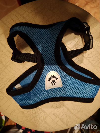 Одежда и поводок для собаки