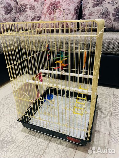 Клетка для среднего попугая