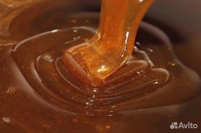 Мед натуральный с Алтая опт минимально 16 кг