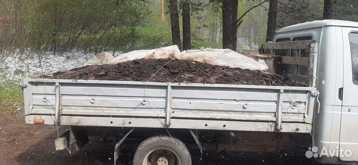 Дрова березовые колотые