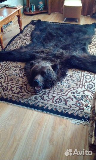 Ковер новый