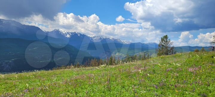 Участок 1,24 га (СНТ, ДНП)