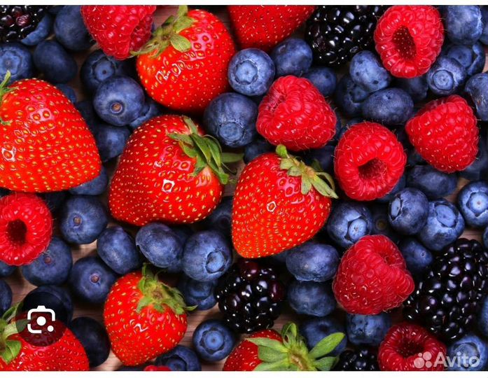 Свежая ягода