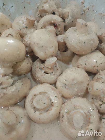 Грибы для шашлыка