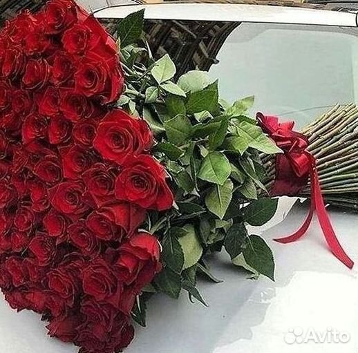 Розы Метровые 100 см доставка Москва