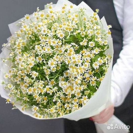 Цветы ромашки. Букеты ромашек. Цветы доставка