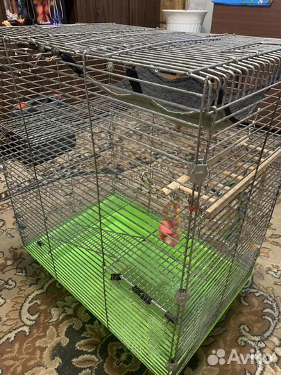 Клетка для грызунов очень большая