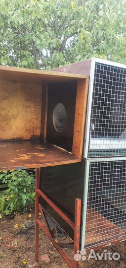 Клетки для кроликов