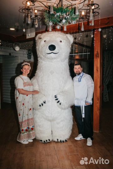 Аэрокостюм медведь