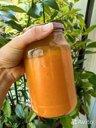 Сок тыквенный 2023 года