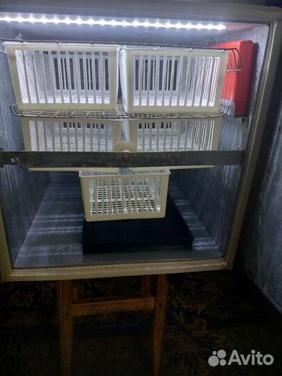 Инкубатор Ипх-10 петушок