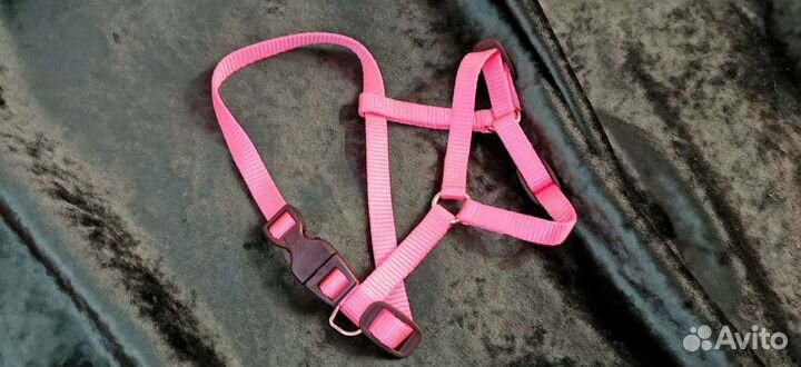 Шлейка для маленькой собаки или кошки