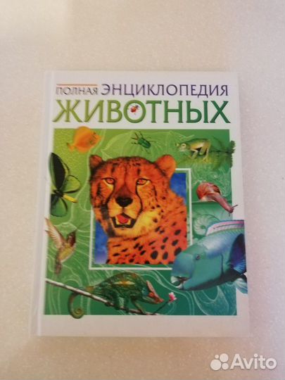 Энциклопедии для детей (новые)