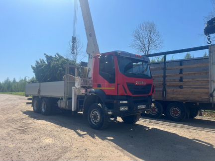 Фото из отзыва