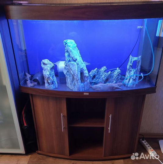 Аквариум Juwel vision 260 литров