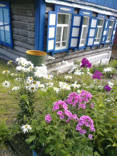 Дача 56 м² на участке 12 сот.