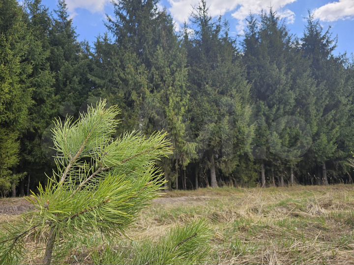 Участок 9 сот. (ИЖС)