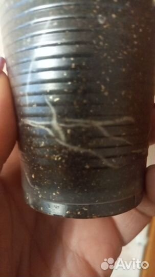 Сортовая пеларгония