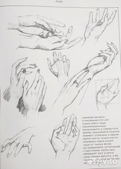 Книга Эндрю Лумиса 