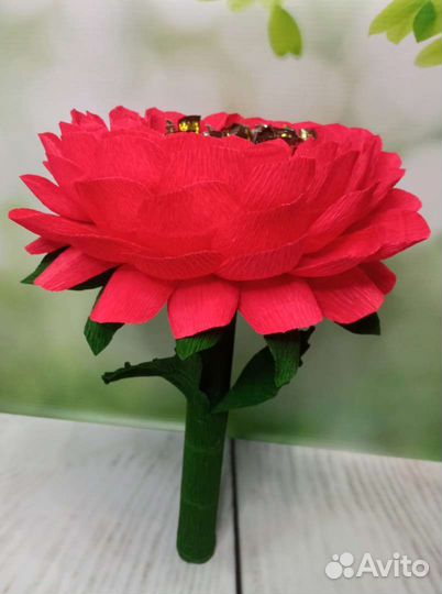 Большая роза на 1 сентября