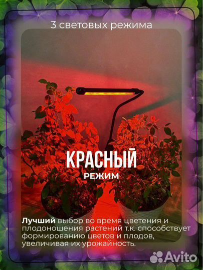 Фитолампа для растений на прищепке