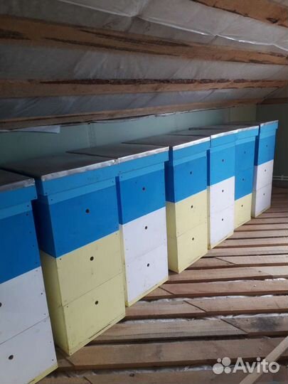 Ульи кедровые