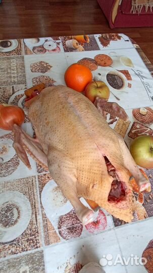 Мясо индоутки