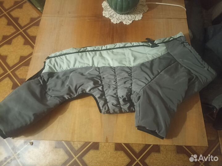 Комбинезон для собаки средней породы