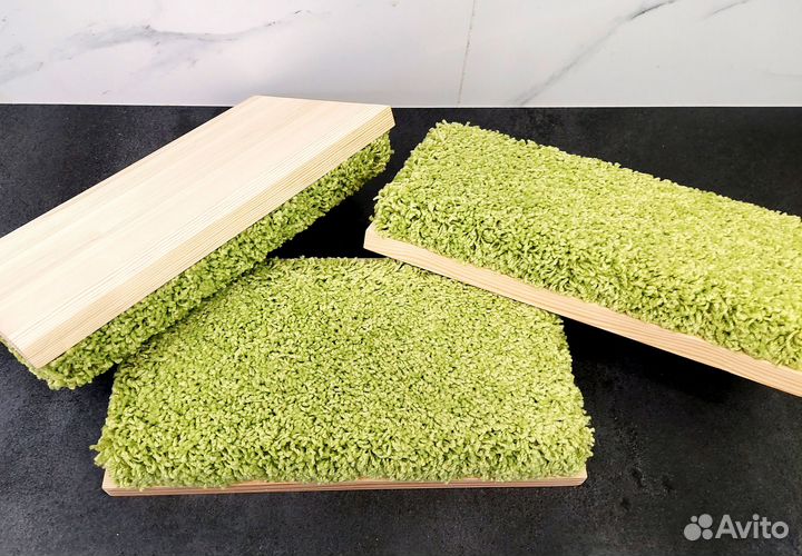 Когтеточка настенный игровой комплекс для кошки