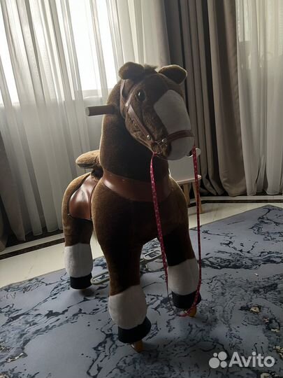 Лошадь поницикл