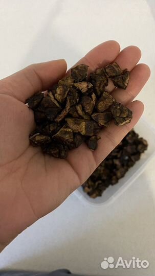 Лакомства для собак