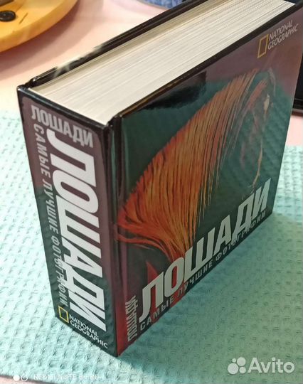 Резерв до 22.08. Книга Лошади. Лучшие фотографии