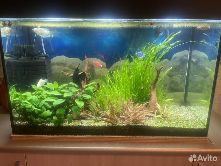 Аквариум 150 литров