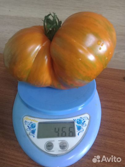 Редкие коллекционные экзотические сорта томатов