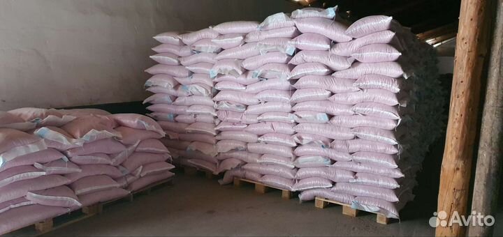 Семена кукурузы 291 амв F1 2022 года