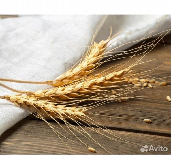 Ячмень, сено, хлеб, молоко, яйца