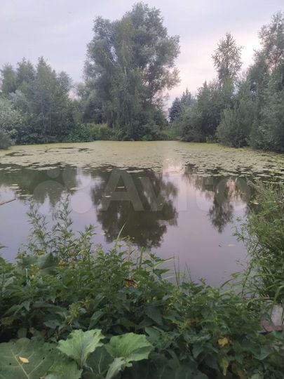 Участок 30 сот. (ИЖС)