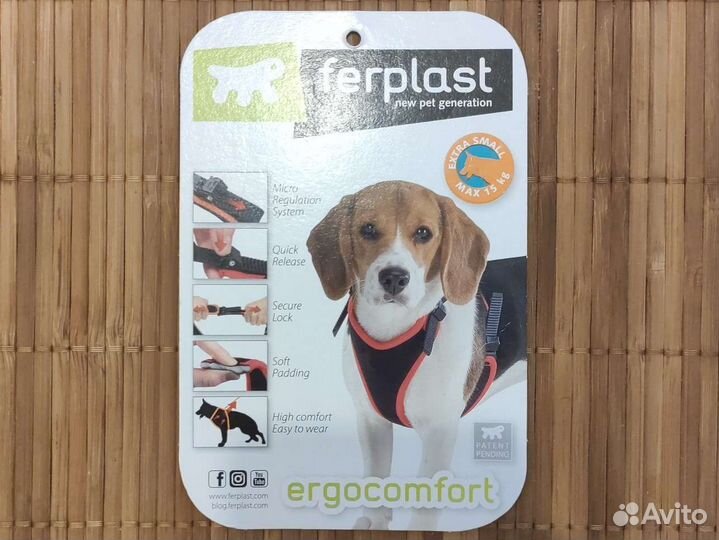 Одежда для собак