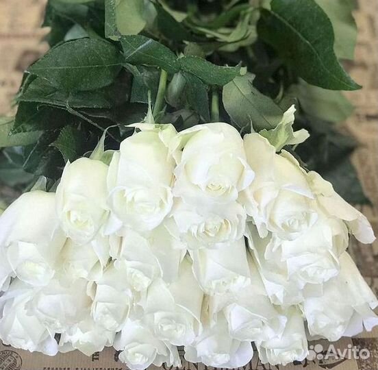 51 Роза, Букеты Цветы Розы 25 101 501 1001