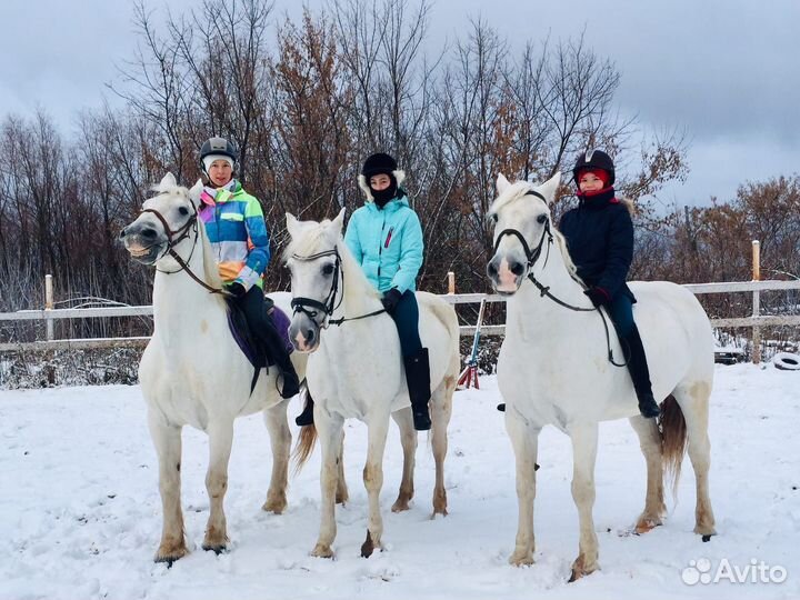 Конные прогулки, фотосессии