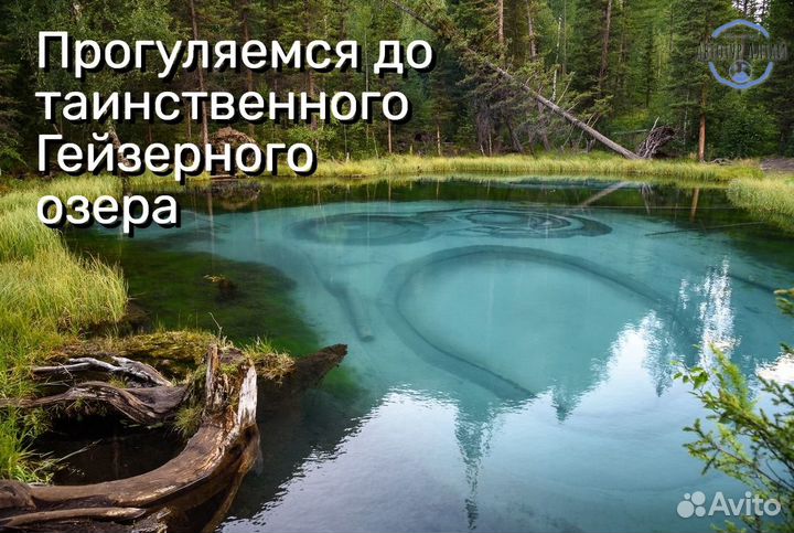Туры на Алтай: Весь Алтай