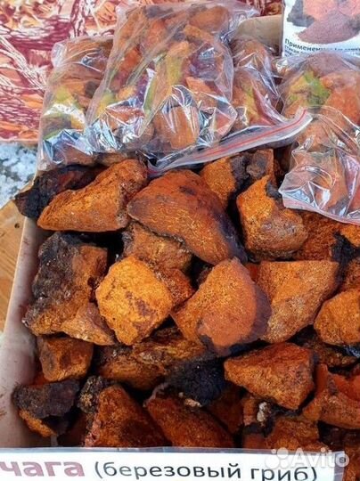 Чага, шиповник, травы