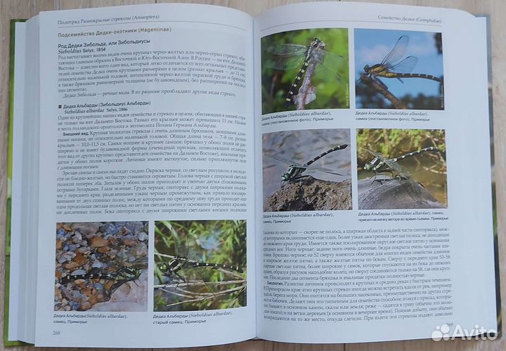 Стрекозы России. Атлас-определитель