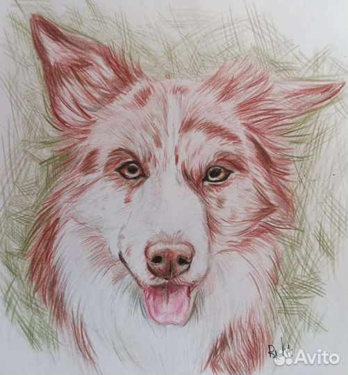 Портрет питомца на заказ