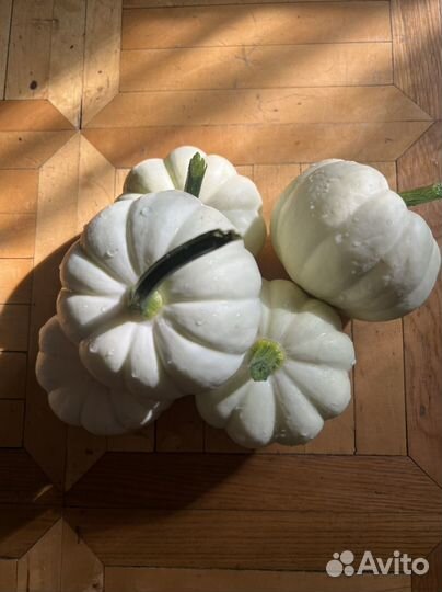 Тыква декоратиная белая