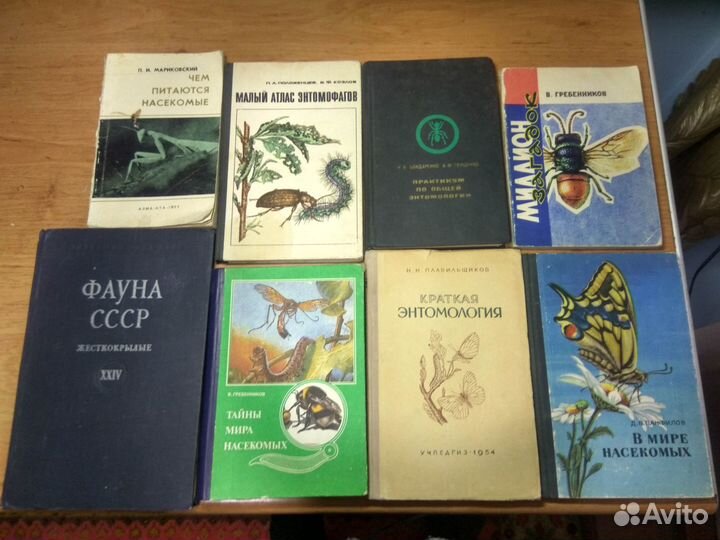 Энтомология Садоводство Виноградарство и т.п