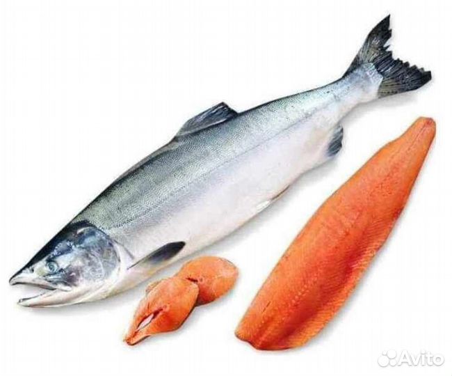 Рыба Нерка Кета