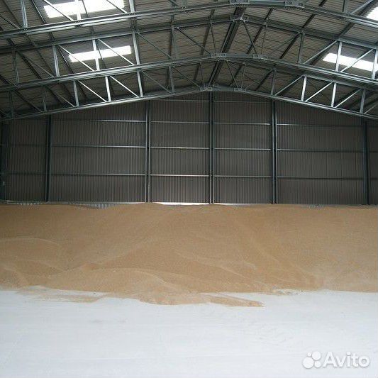 Зерно пшеница ячмень