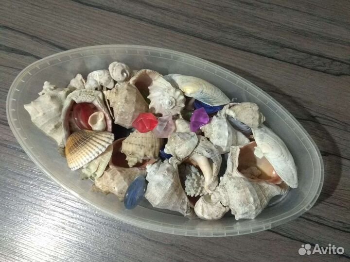 Камешки,ракушки для аквариума